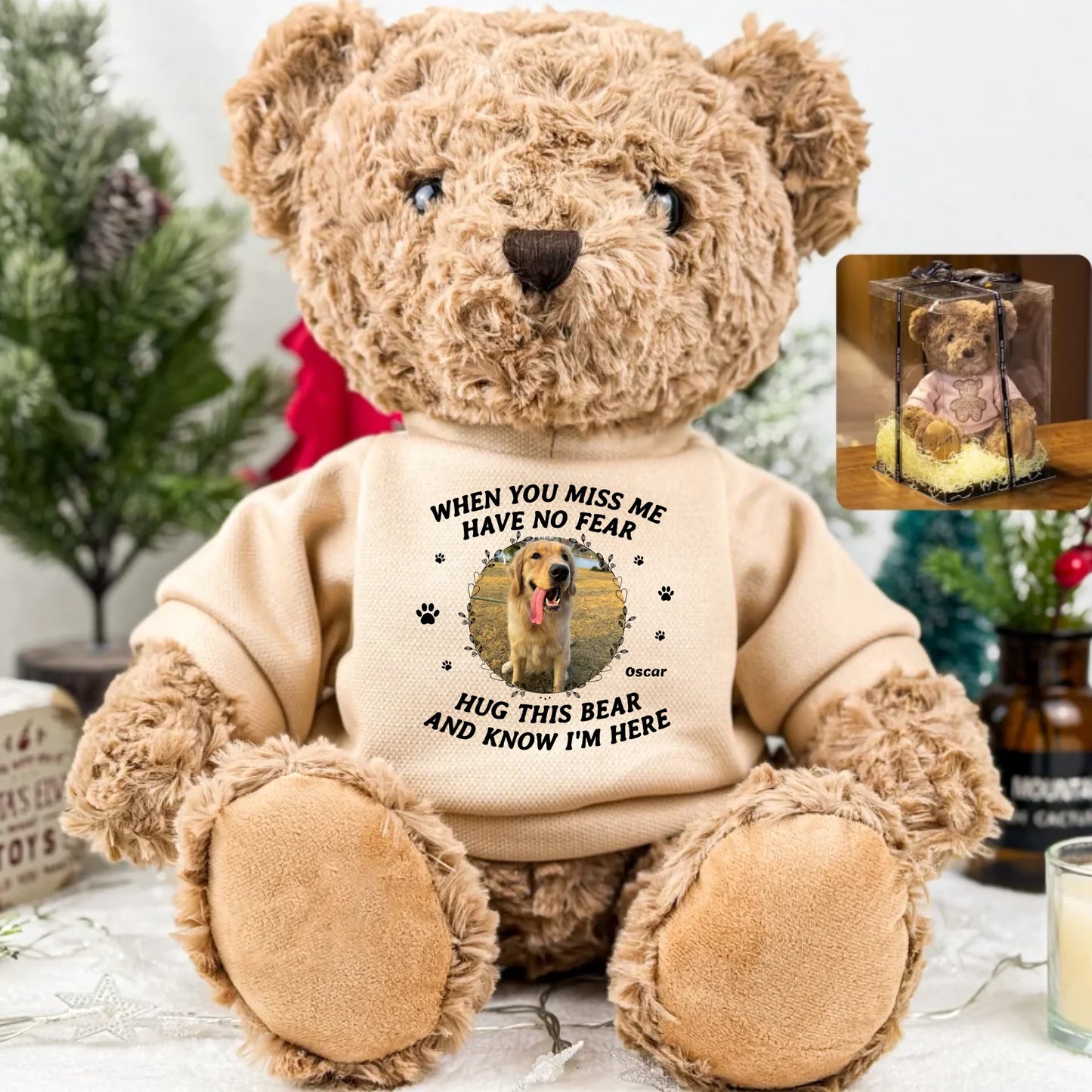 teddy_giftb