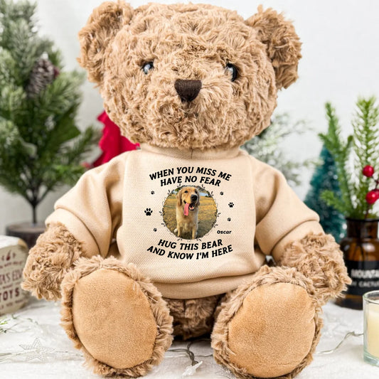 teddy