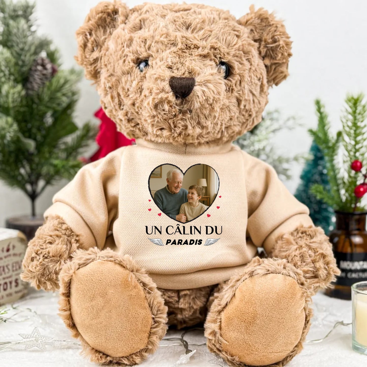 teddy