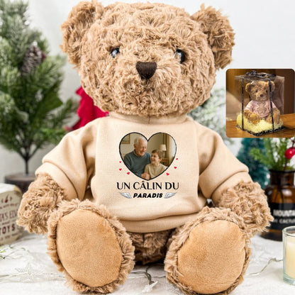 teddy_giftb